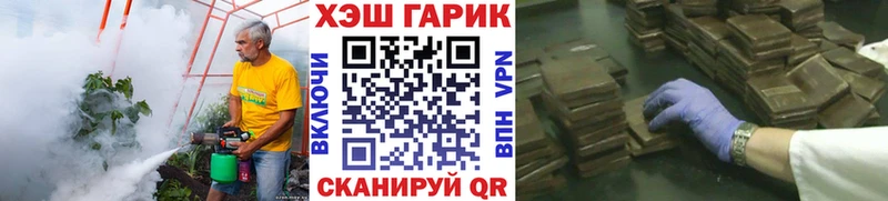 ГАШИШ Premium  даркнет сайт  Ядрин 