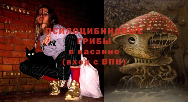 альфа пвп Михайлов