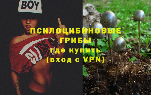 прущая мука Михайловск