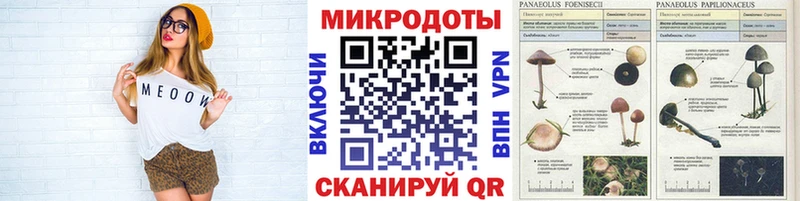 Галлюциногенные грибы Magic Shrooms  Ядрин 