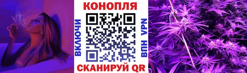 omg зеркало  цена наркотик  Ядрин  Бошки марихуана Amnesia 
